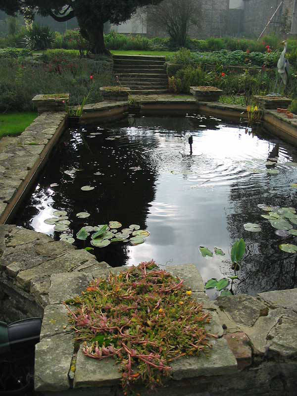 ornamental pond