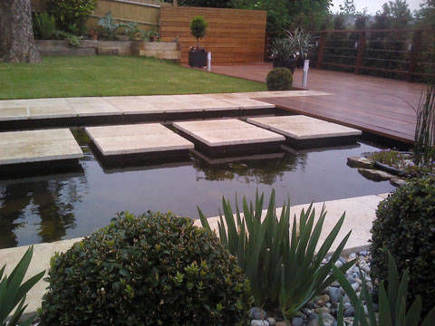 contemporary pond