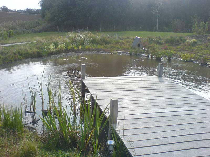 pond jetty