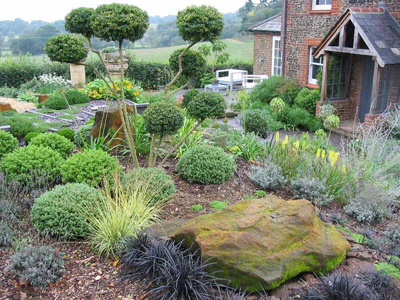 shrubs
