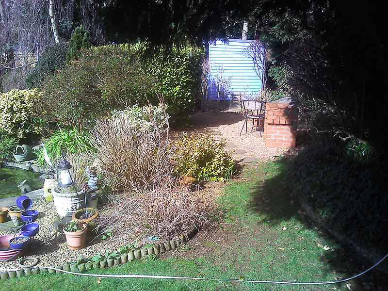 garden after