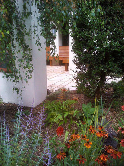 herbaceous