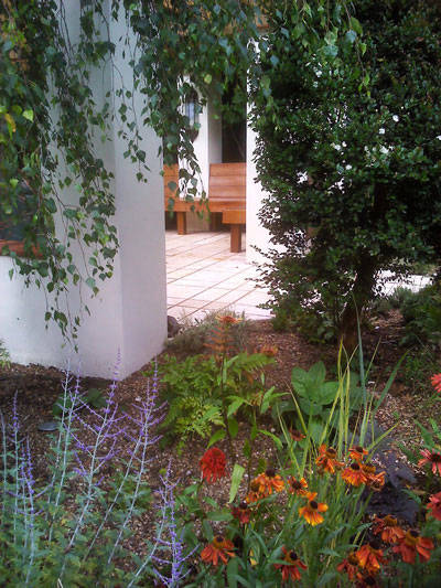 herbaceous