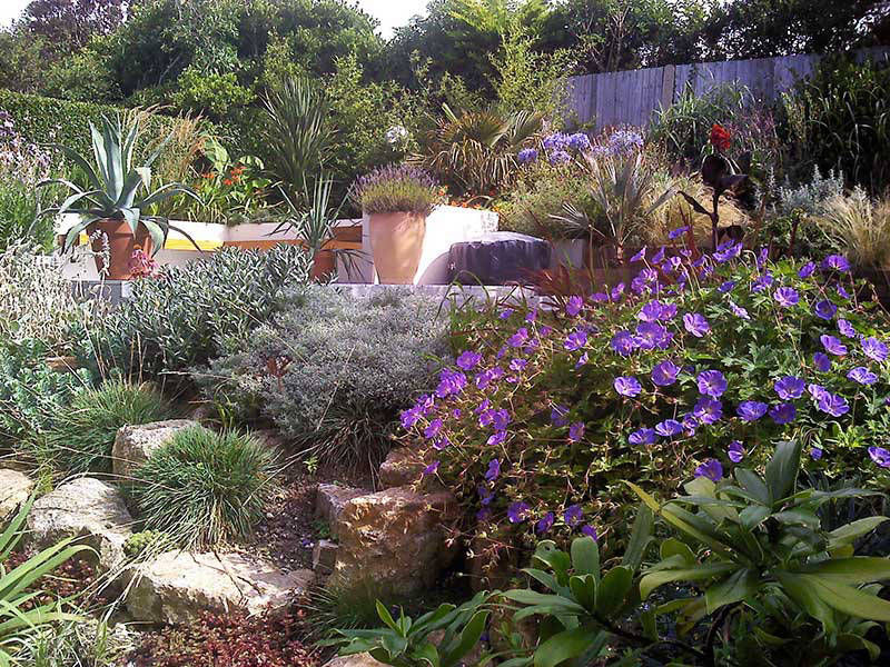 herbaceous