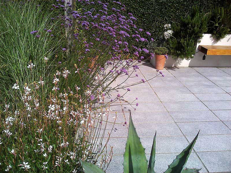 herbaceous