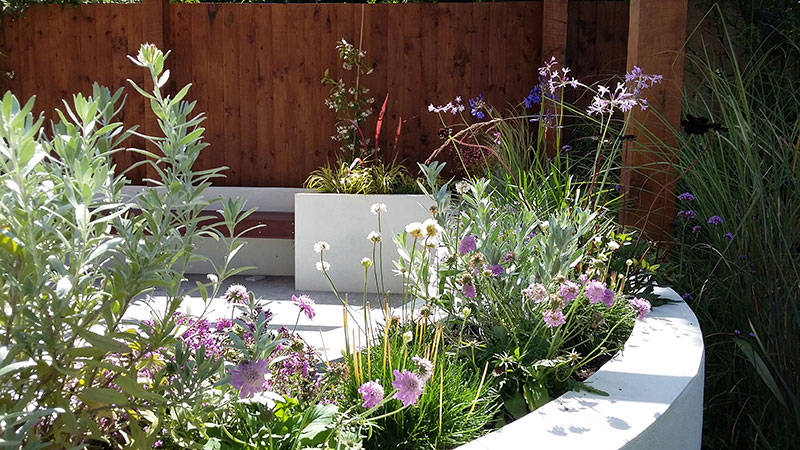 coastal planting