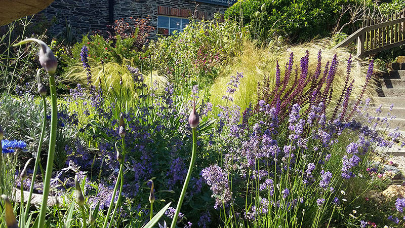 herbaceous