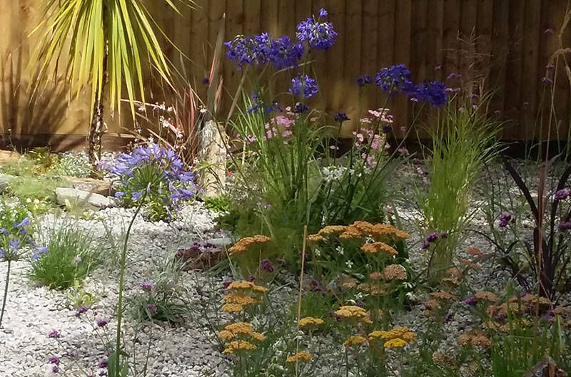 herbaceous