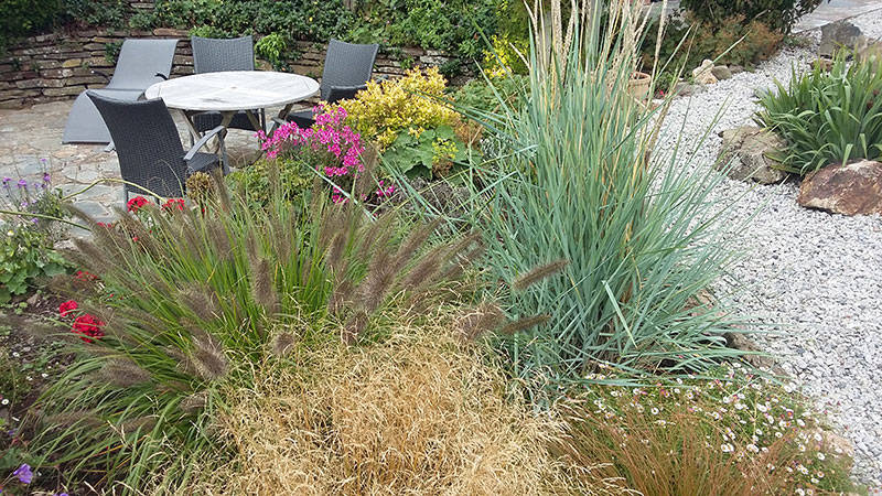grasses