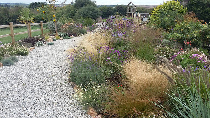 herbaceous