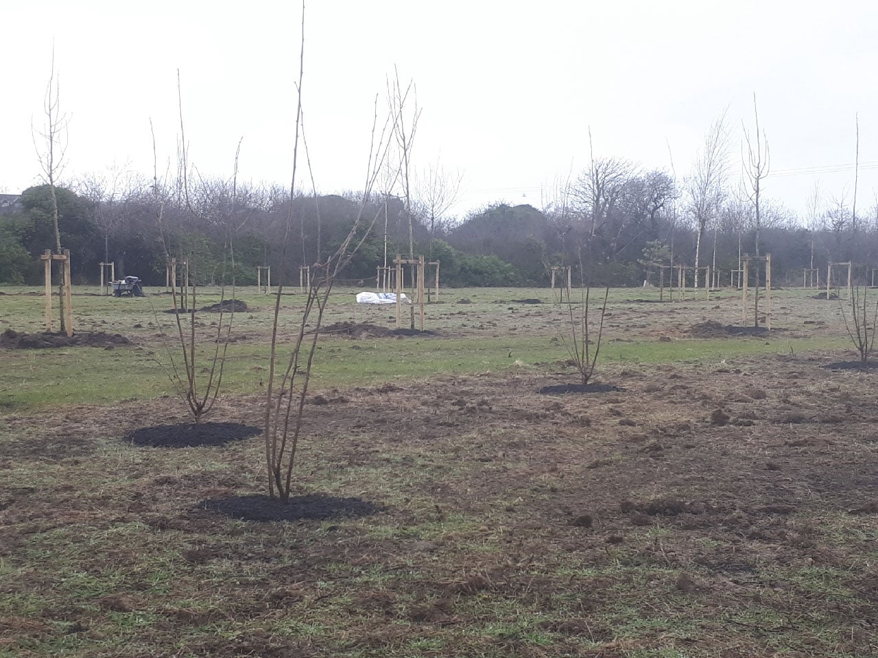 field