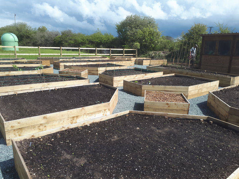 raised beds