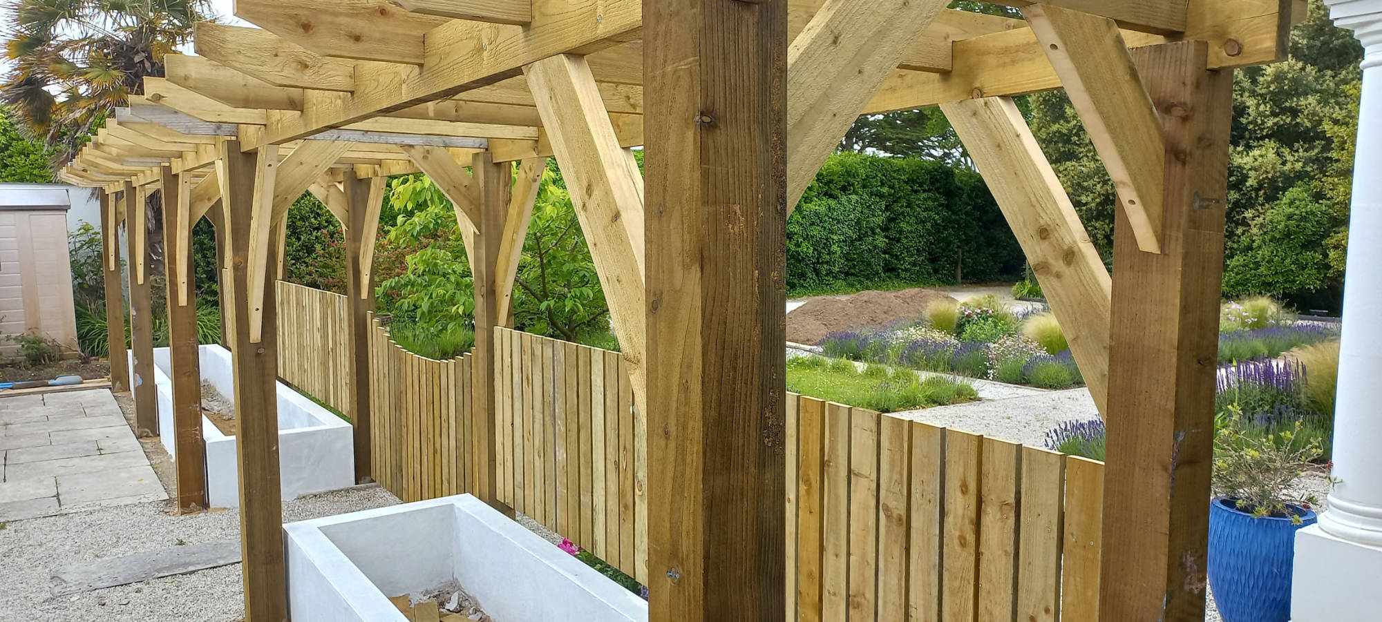 softwood
