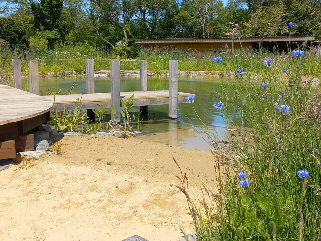 swimming pond