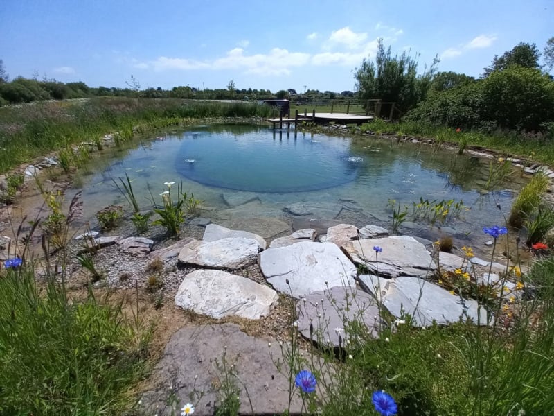 swim pond 12