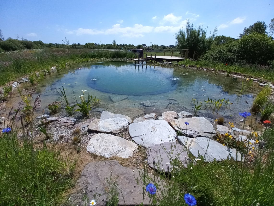 swim pond 12