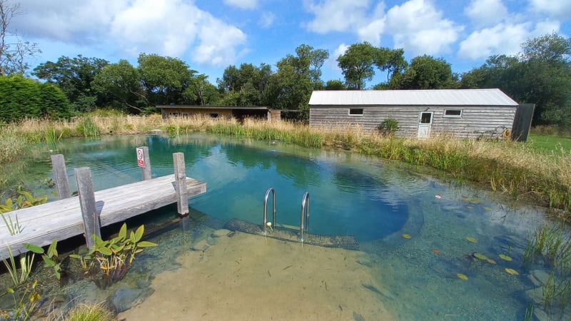 swim pond 13