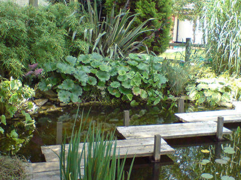 waterside