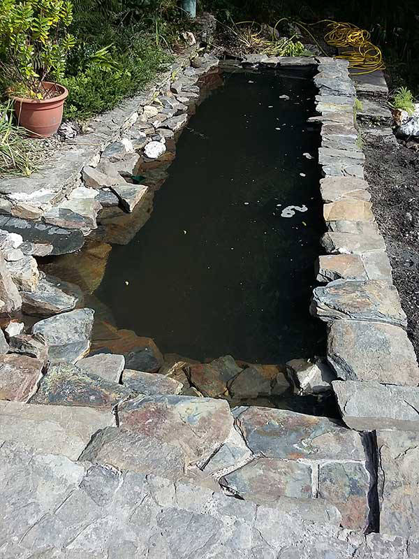 raised koi pond