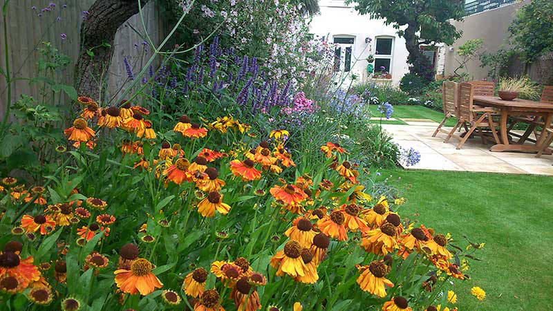 herbaceous