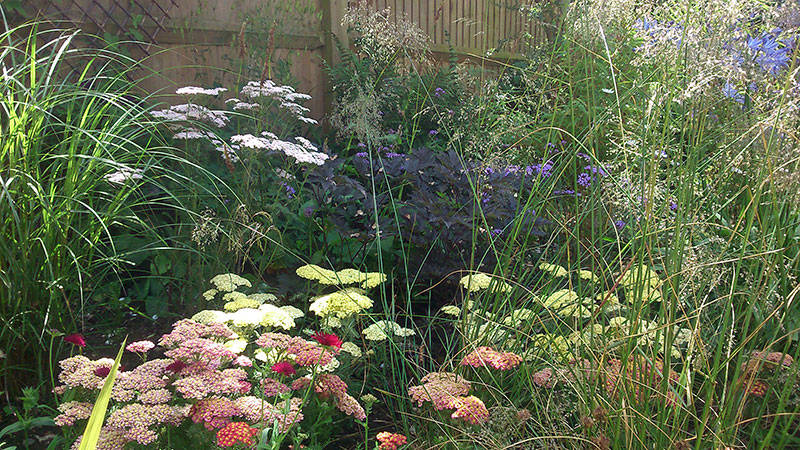 herbaceous