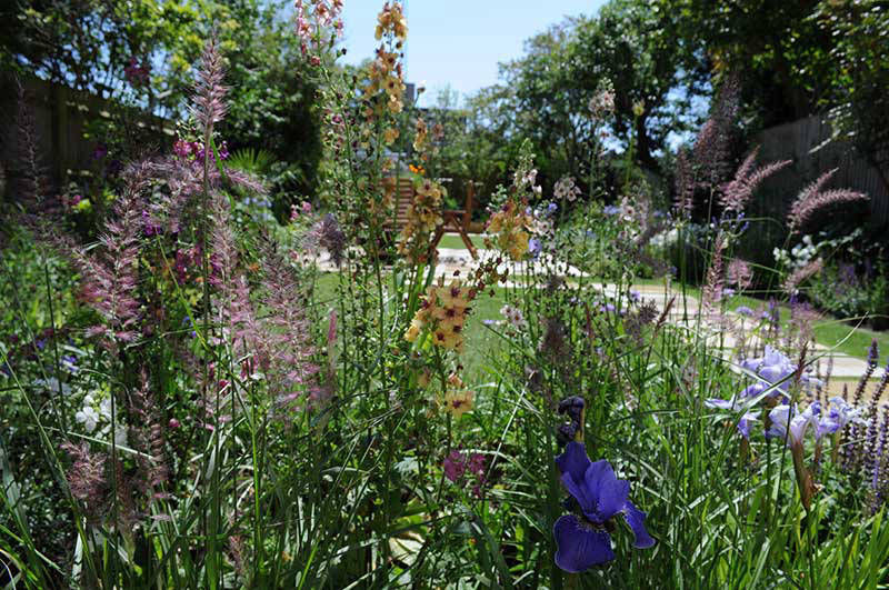 herbaceous