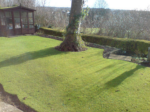 garden bafore