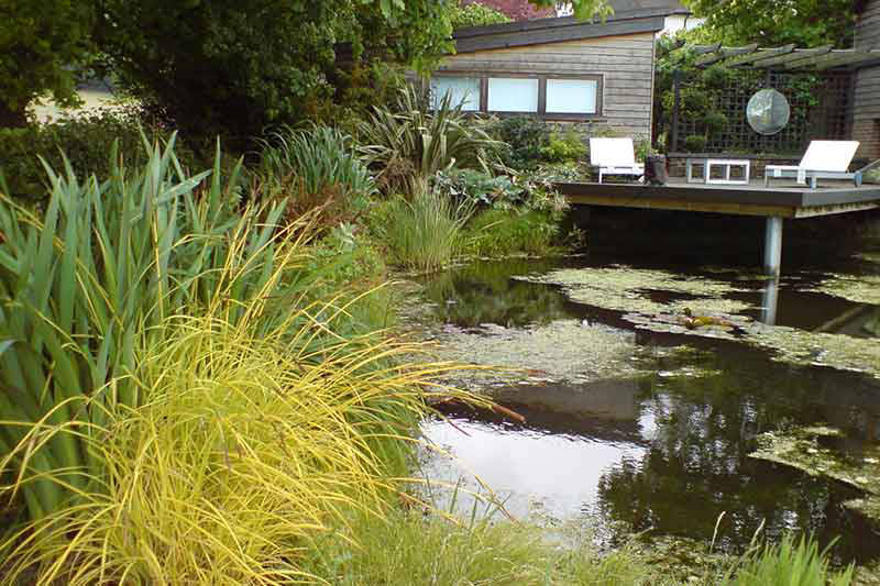 waterside