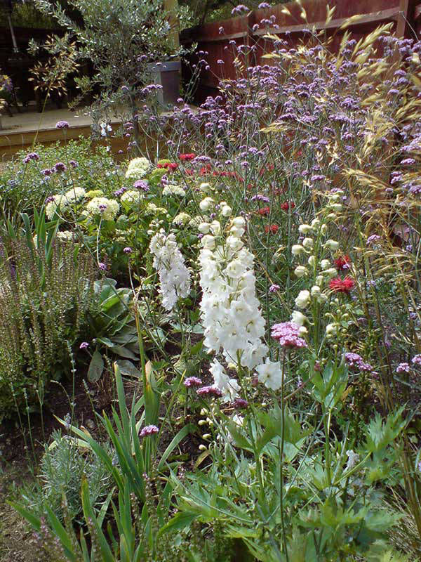 herbaceous