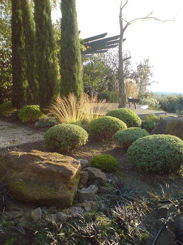 shrubs