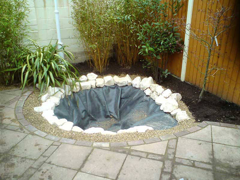 small pond