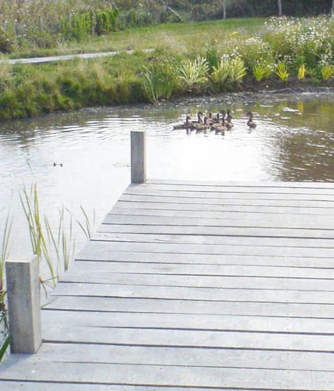 oak jetty
