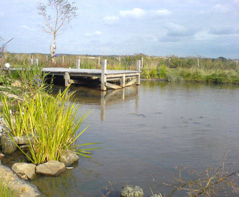large pond