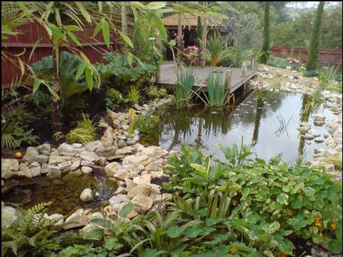ponds