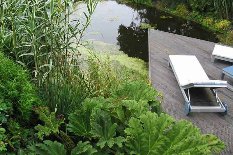 waterside