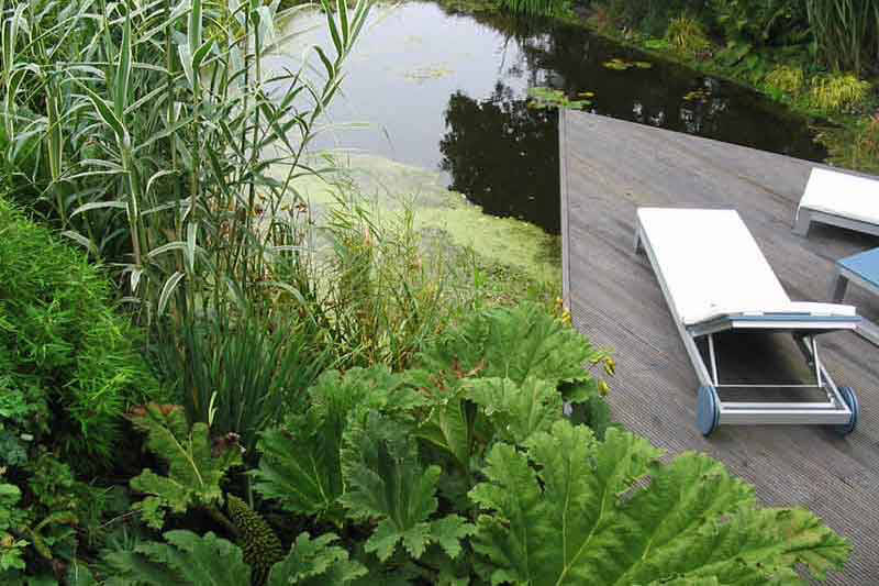 waterside