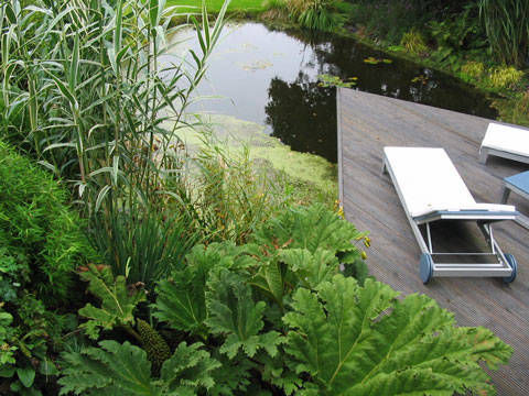 pond deck