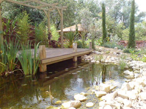 pond deck